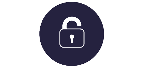 security icon