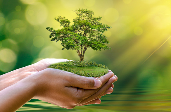 Sustainable Future in hand