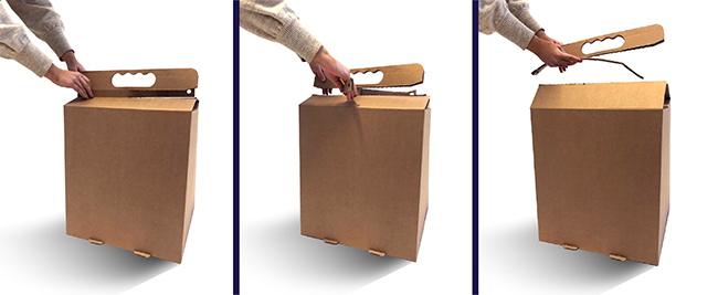 concept case study pkg