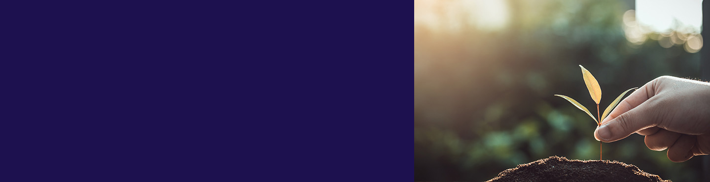 Antalis International Packaging Key Account network