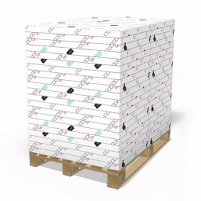 Cocoon Silk 100% Recycled Paper White 650x920mm 250gsm Pack of 125 Sheets