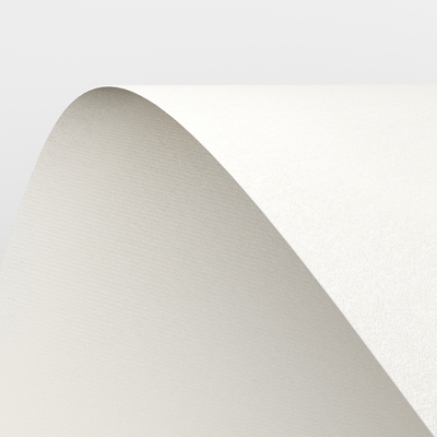 Conqueror Laid Cream Close-up