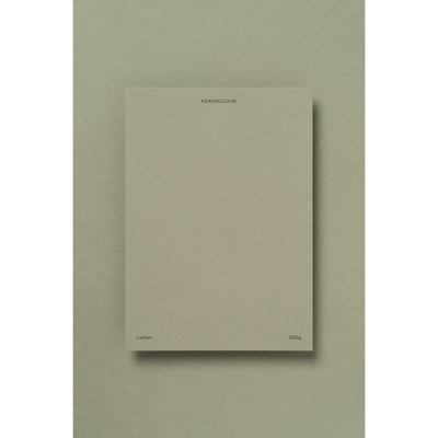 Keaykolour Creative Paper Lichen B1 300gsm Pack of 100 Sheets