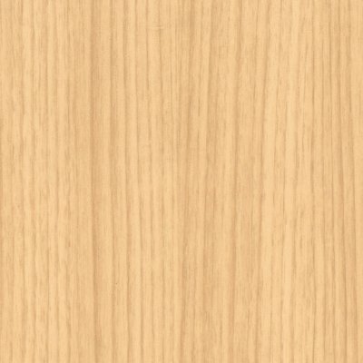 Coala Interior Film Wood CT97 Brown Palm Tree 1220mm x 50 Metre