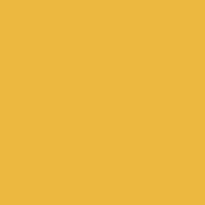 Coala Interior Film Essential M0 Sunflower 1220mm x 50 Metre