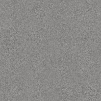 Coala Interior Film Textile Leather NE41 Light Grey Leather 1220mm x 50 Metre Installation ABBA
