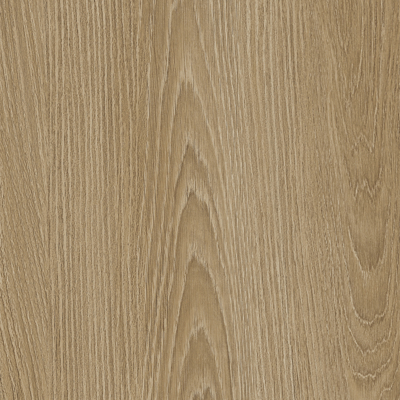 Coala Interior Film Wood NH83 Golden Elm 1220mm x 50 Metre