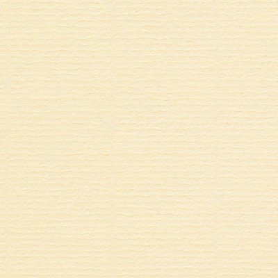 Conqueror Laid Premium Paper Unwatermarked Vellum B1+ 220gsm Pack of 100 Sheets