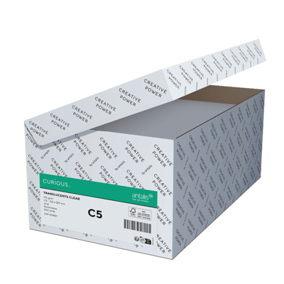 Curious Translucents Clear Envelopes