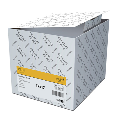 Olin Colours Envelopes