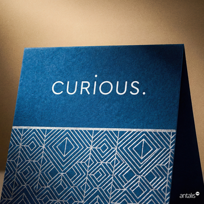 Curious Matter Digital
