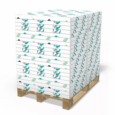 Cyclus 100% Recycled Paper White SRA2 100gsm Pack of 250 Sheets