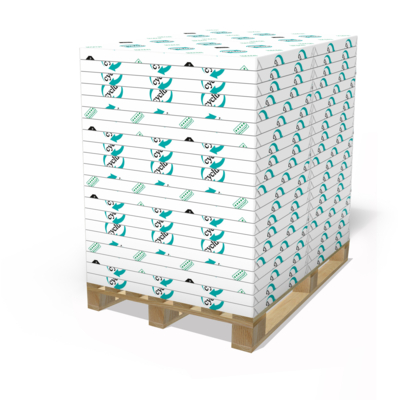 Cyclus Silk Plus Coated Paper White B1+ 100gsm Pack of 250 Sheets