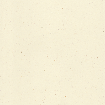 Curious Particles Creative Paper Natural Lily Flower B1 120gsm Pack of 250 Sheets