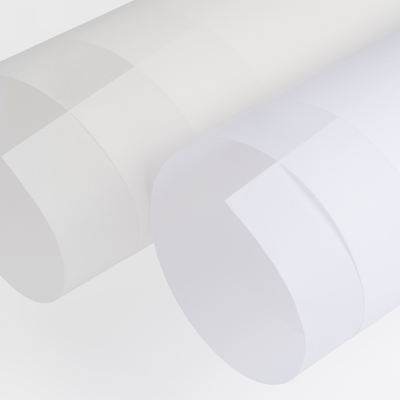 Curious Translucents Creative Paper Clear 650x920mm 110gsm Pack of 250 Sheets