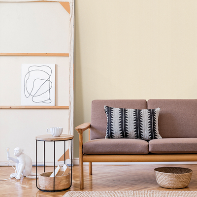 Coala Interior Film Textile Leather NE43 Light Cream Leather 1220mm x 50 Metre Installation ABBA