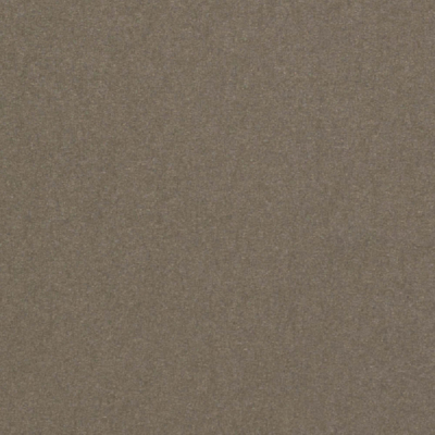 Olin Colours Urban Grey
