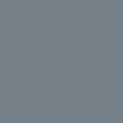 Oracal 551G 756 Steel Grey