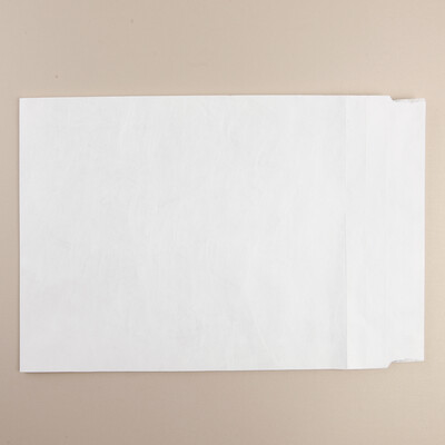 Tyvek Envelope White Pocket 381x250mm Plain 11g