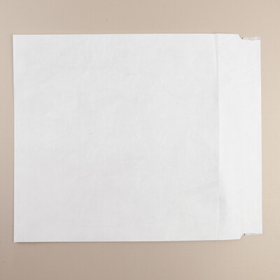 Tyvek Envelope R758124 White Wallet 305x406mm Plain 54gsm