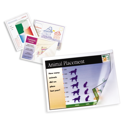 Xerox Premium Transparencies Colour