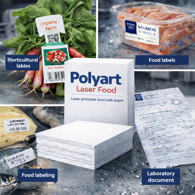 Polyart Laser Food