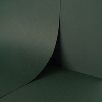 Keaykolour Digital Creative Paper Holly 483x330mm 300gsm Pack of 100 Sheets