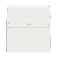 Curious Metallics Envelope Ice Silver 162x229mm 120gsm Pack of 250