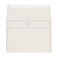 Curious Translucent Envelopes Wallet C5 Box of 250