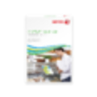 Xerox Premium NeverTear Adhesive Film Matt White A4 60 Micron 50 Sheets