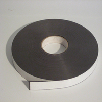 Magnetic Tape Mag A Black 20mmx30m 1500 Micron