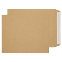 Purely Everyday Manilla 14887PS 115gsm 250 Per Pack