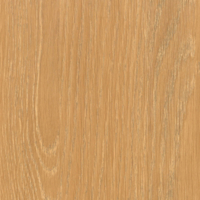 Coala Interior Film Wood Medium AL28 Bleach Oak 1220mm x 50 Metre