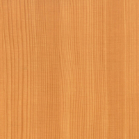 Coala Interior Film Wood CT11 Beige Pine Teak 1220mm x 50 Metre