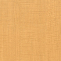 Coala Interior Film Wood Light CT70 Yellow Sycamore 1220mm x 50 Metre
