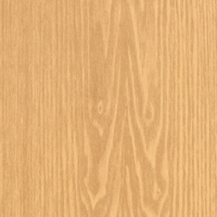 Coala Interior Film Wood CT87 Unstructure Beige 1220mm x 50 Metre