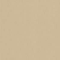 Coala Interior Film Textile Leather NE42 Caramel Leather 1220mm x 50 Metre Installation ABBA