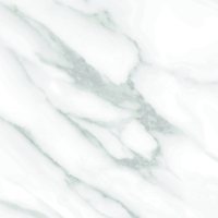 Coala Interior Film PVC Free Stone NE31 Statuary White 1220mm x 50 Metre