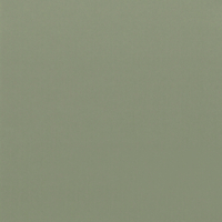 Coala Interior Film Essential RM20 Sage Green 1220mm x 50 Metre