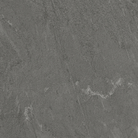 Coala Interior Film Stone NH09 200µ 1220mmx50m