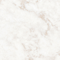 Coala Interior Film Stone NH47 200µ 1220mmx50m