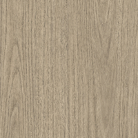 Coala Interior Film Wood NH74 Eucalypus Grove 1220mm x 50 Metre