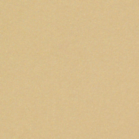 Curious Metallics Champagne