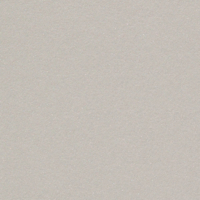 Curious Metallics Lustre Grey