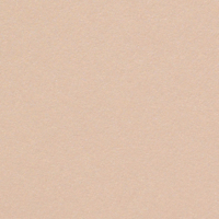 Curious Metallics Nude