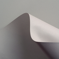 Curious Matter Creative Paper Andina Grey B1 270gsm Pack of 100 Sheets