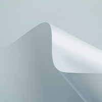 Curious Matter Creative Paper Goya White B1 270gsm Pack of 100 Sheets