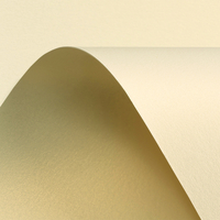 Curious Metallics Creative Paper White Gold B1+ 300gsm Pack of 100 Sheets