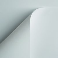 Curious Skin Creative Paper Extra White B1 380gsm Pack of 50 Sheets