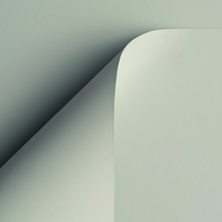 Curious Skin Creative Paper Grey 700x1000mm 135gsm Pack of 200 Sheets